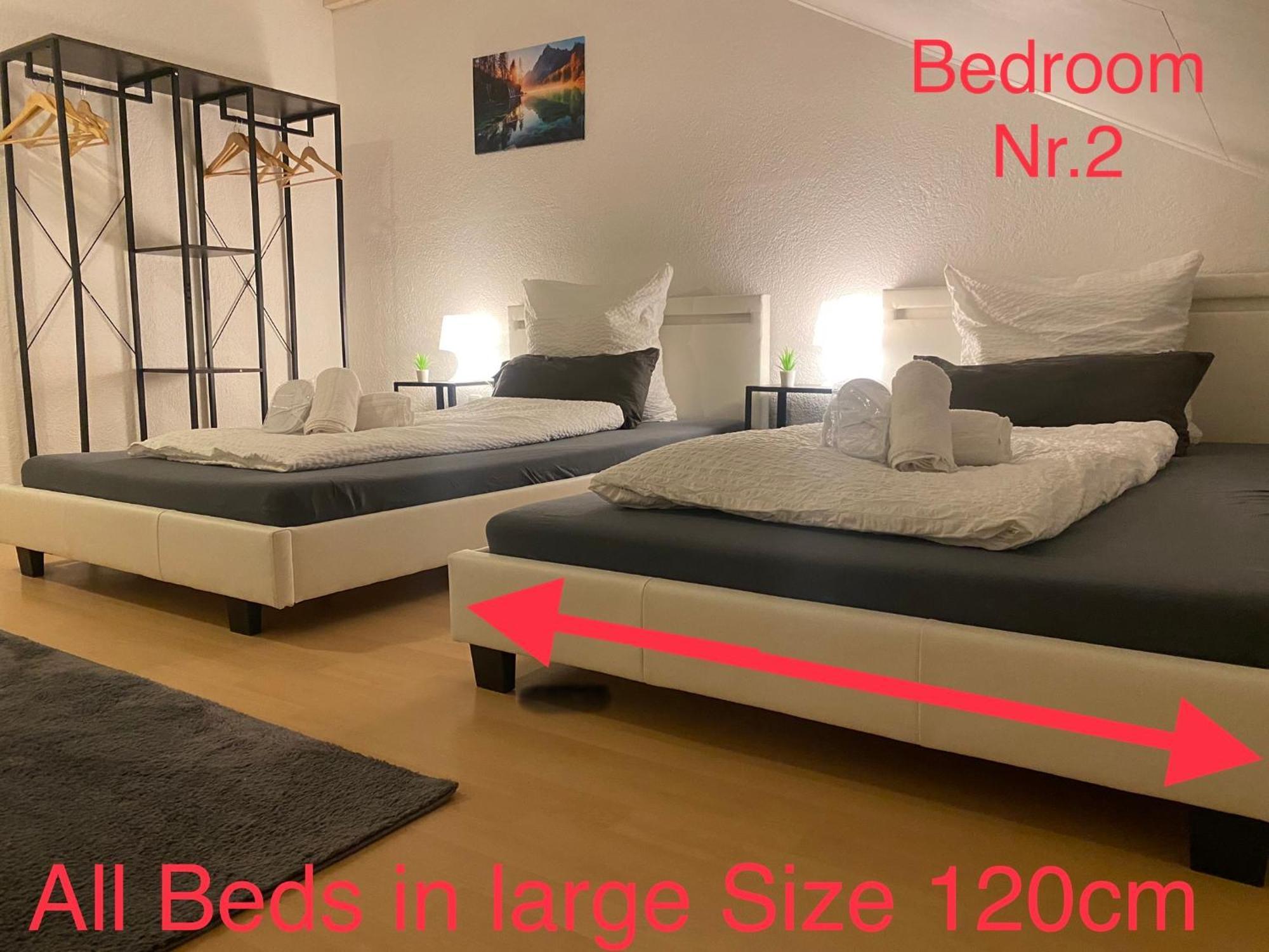 Deluxe Business Suite Mit Netflix Premium & Parkplatz, Zentral Zu Audi & Schwarz Gruppe With 2 Bedrooms Bad Friedrichshall Exterior foto